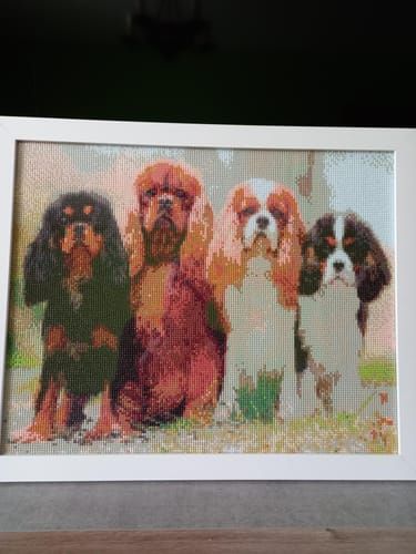 Photo du résultat envoyée par la cliente ou le client