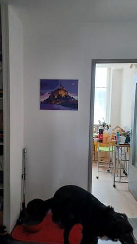 Photo du résultat envoyée par la cliente ou le client