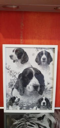 Photo du résultat envoyée par la cliente ou le client