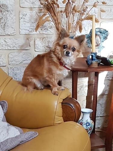 Photo du résultat envoyée par la cliente ou le client