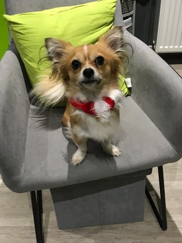 Photo du résultat envoyée par la cliente ou le client