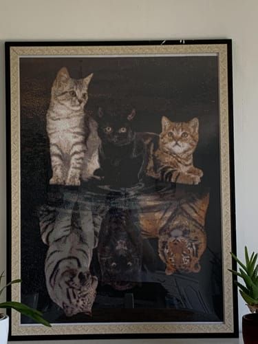 Photo du résultat envoyée par la cliente ou le client
