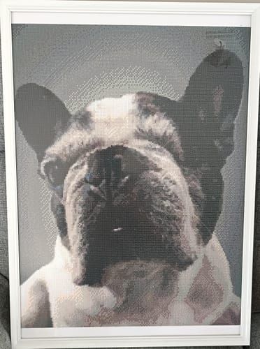 Photo du résultat envoyée par la cliente ou le client