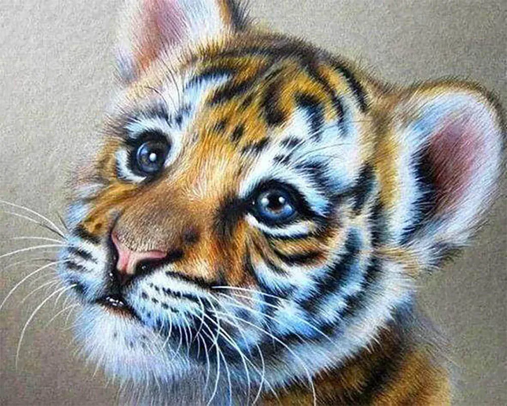 Broderie diamant Bébé Tigre - Tendresse et douceur animalière