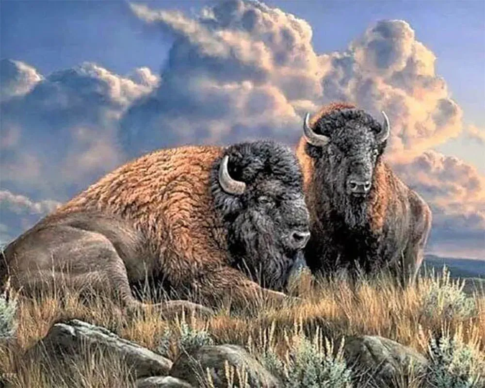 Broderie diamant Bisons