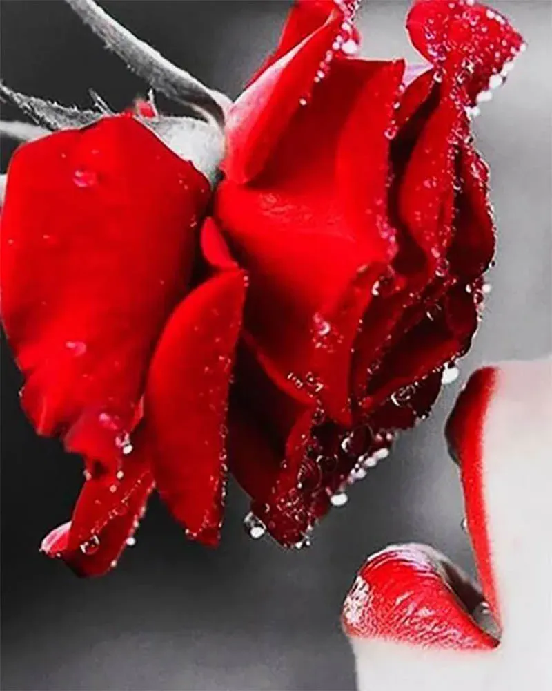 Broderie diamant Bouche et Rose rouge