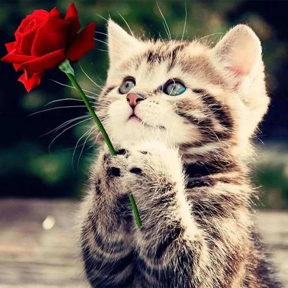 Broderie Diamant Chat à la Rose - Élégance féline et douceur florale
