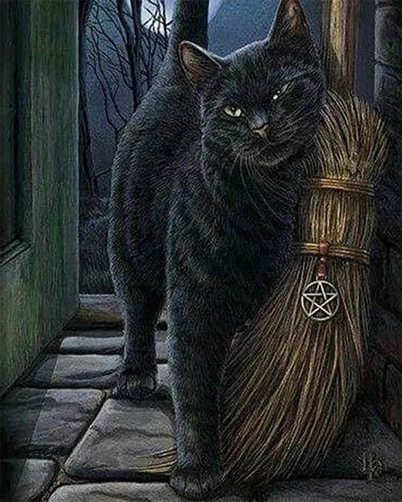 Broderie diamant Chat Anarchique
