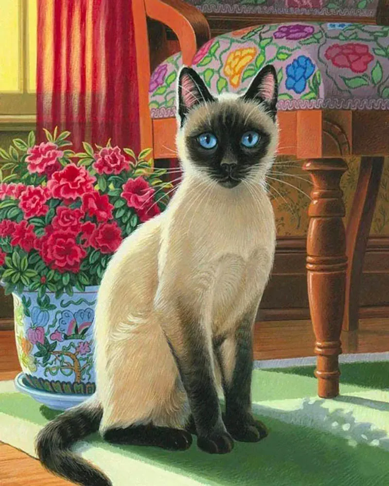 Broderie diamant Chat aux yeux Bleus