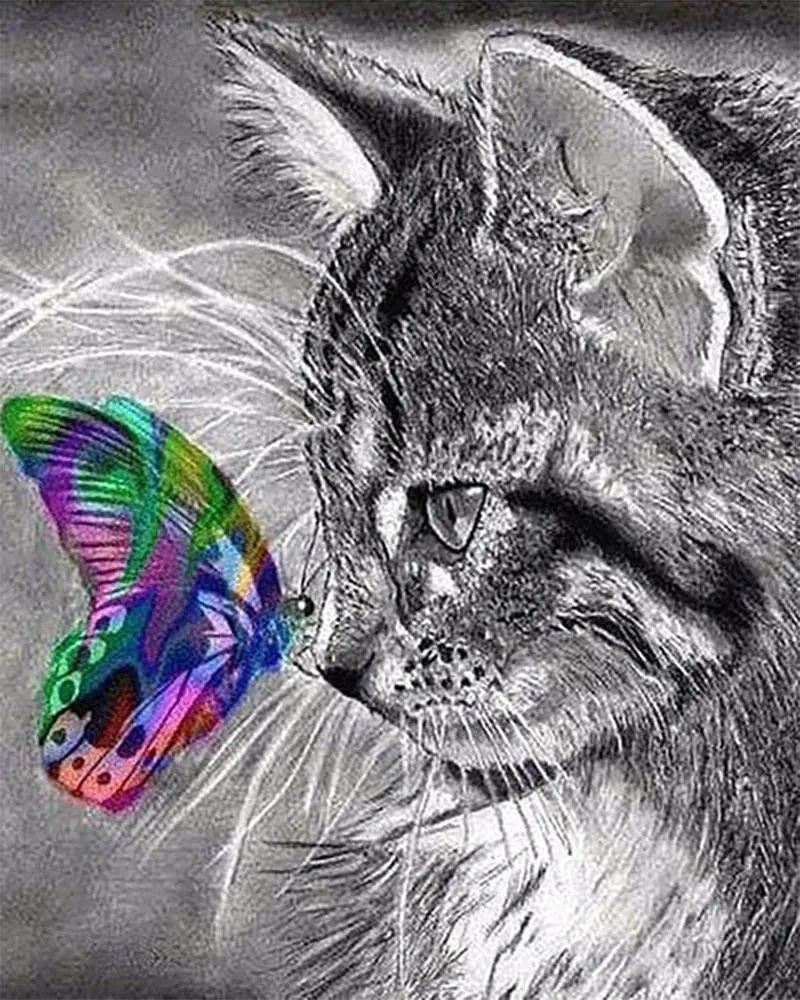 Broderie diamant Chat et Papillon coloré