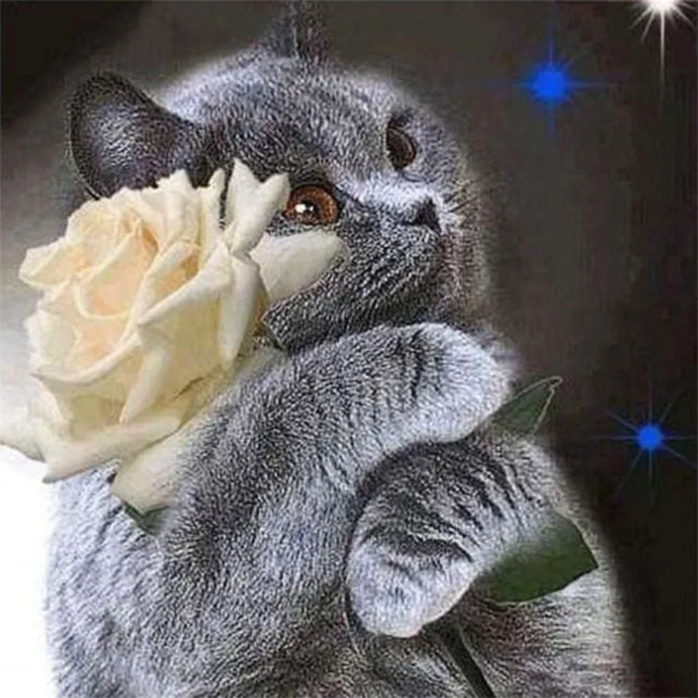 Broderie diamant Chat et Rose Blanche - Paysage élégant et poétique