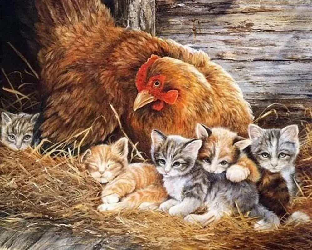 Broderie diamant animaux : chatons et poule en douceur