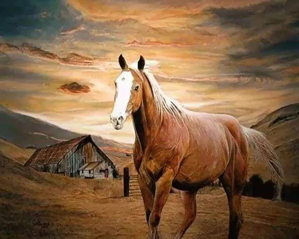 Cheval au Crépuscule - Broderie Diamant Animaux Mille Facettes