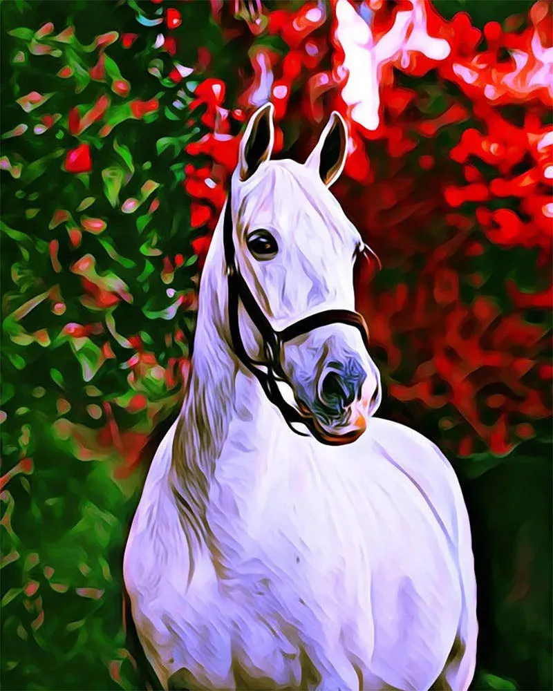 Broderie diamant Cheval et fond coloré