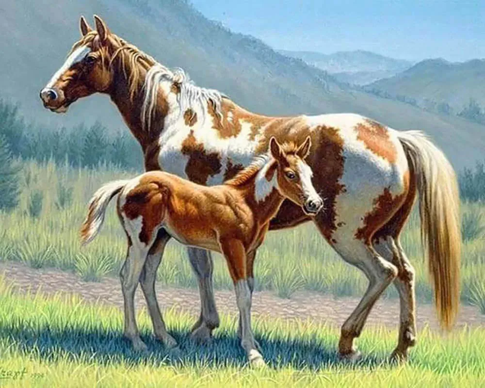 Broderie diamant Cheval et son Poulain