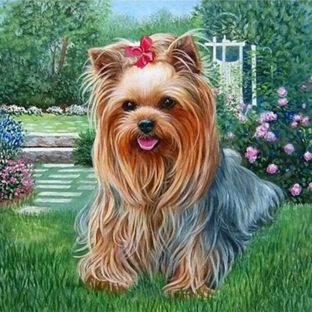 Broderie diamant Chien Bichon Maltais
