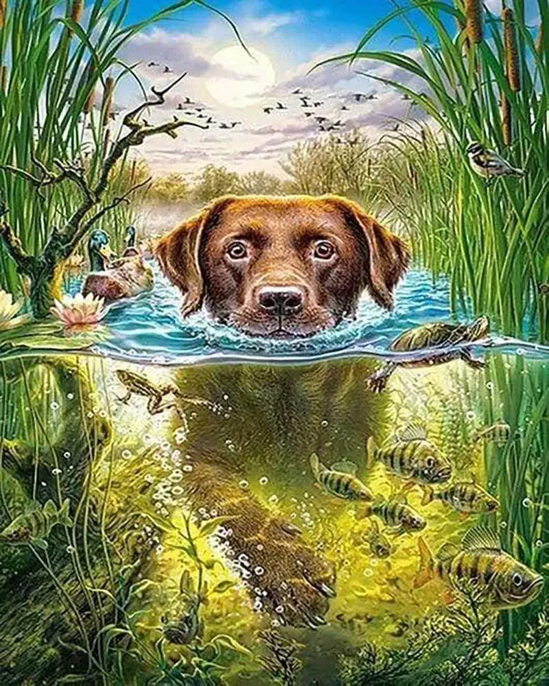 Broderie diamant Chien dans le ruisseau