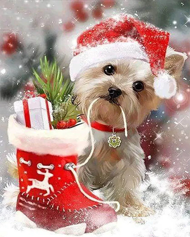 Broderie diamant Chien et cadeaux