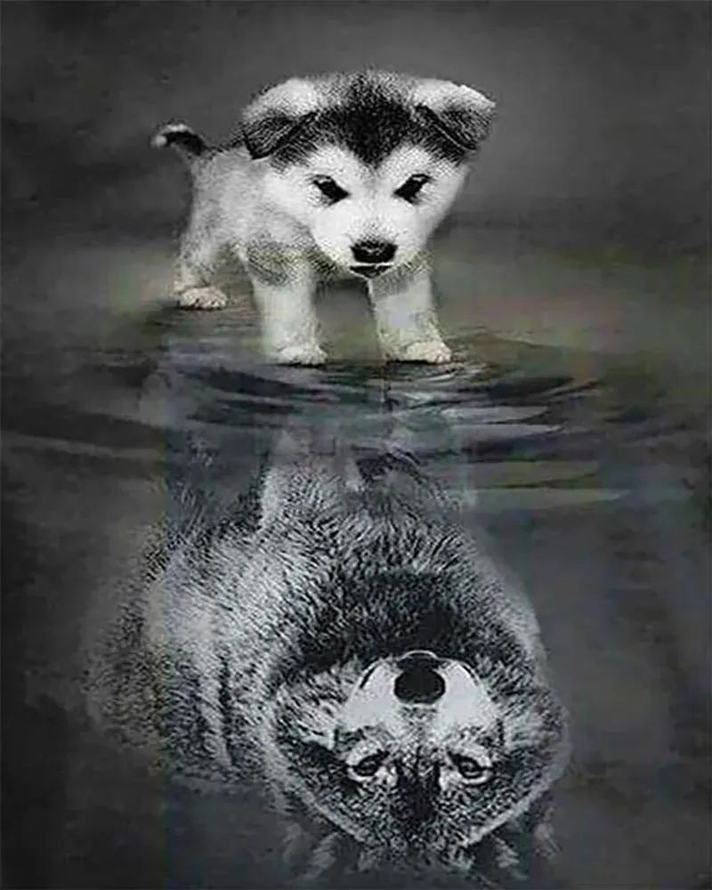 Broderie diamant chien et reflet de loup sur toile tendue 40x50 cm