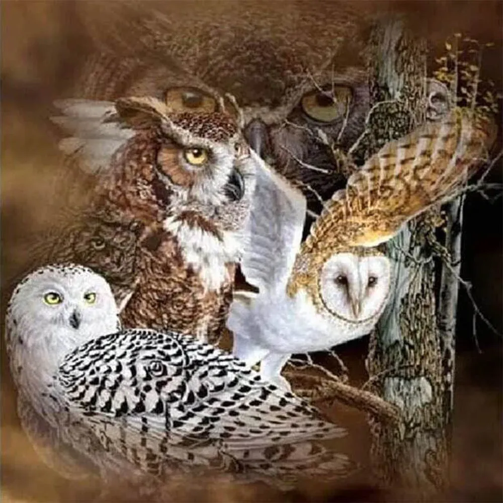 Broderie diamant Chouettes et Hiboux