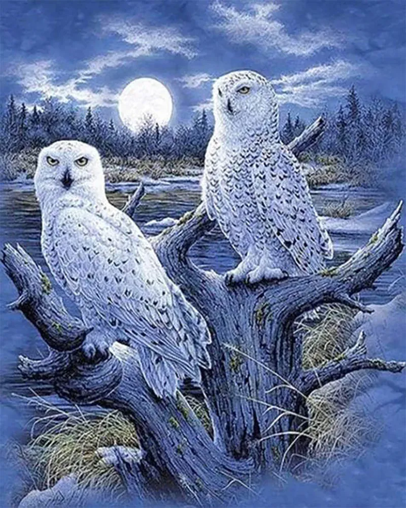 Broderie diamant chouettes et lune - Kit animaux nocturnes français