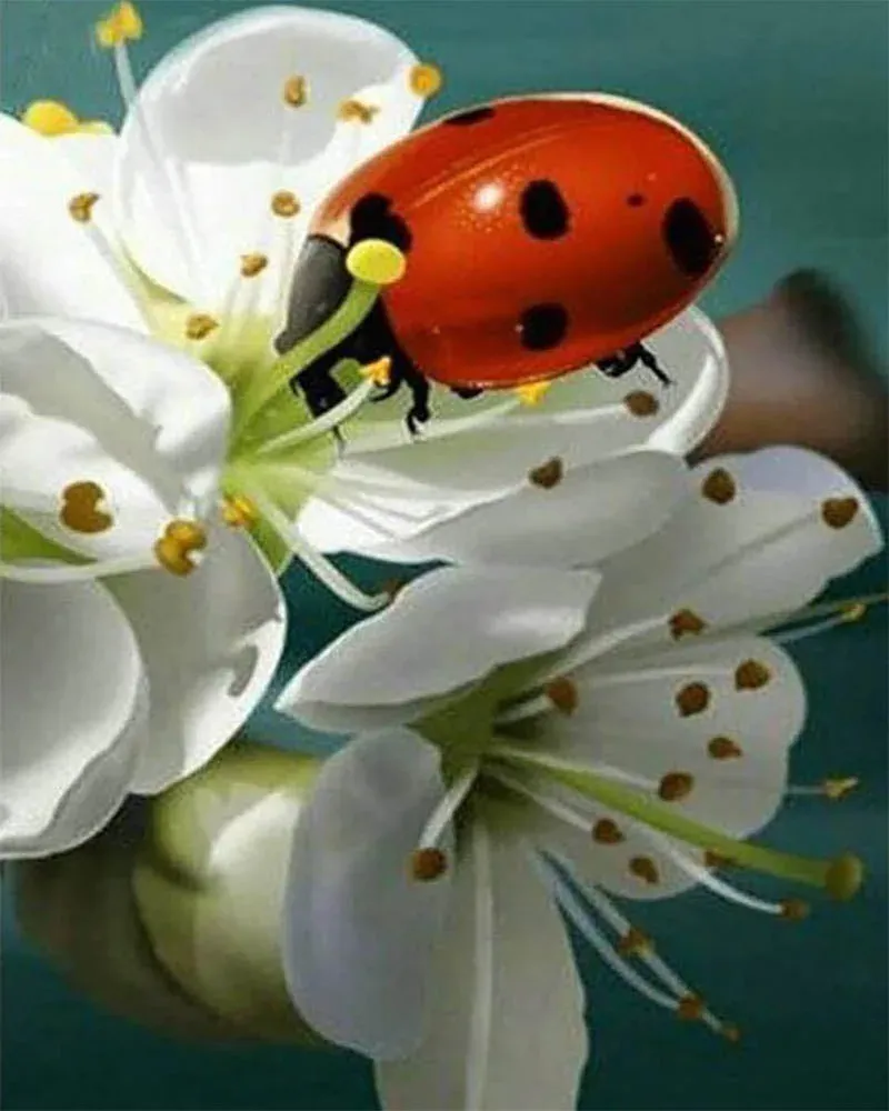 Broderie diamant Coccinelle et Fleurs