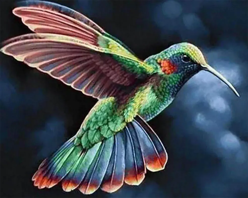 Broderie diamant Colibri dans la Nuit - Élégance nocturne et nature