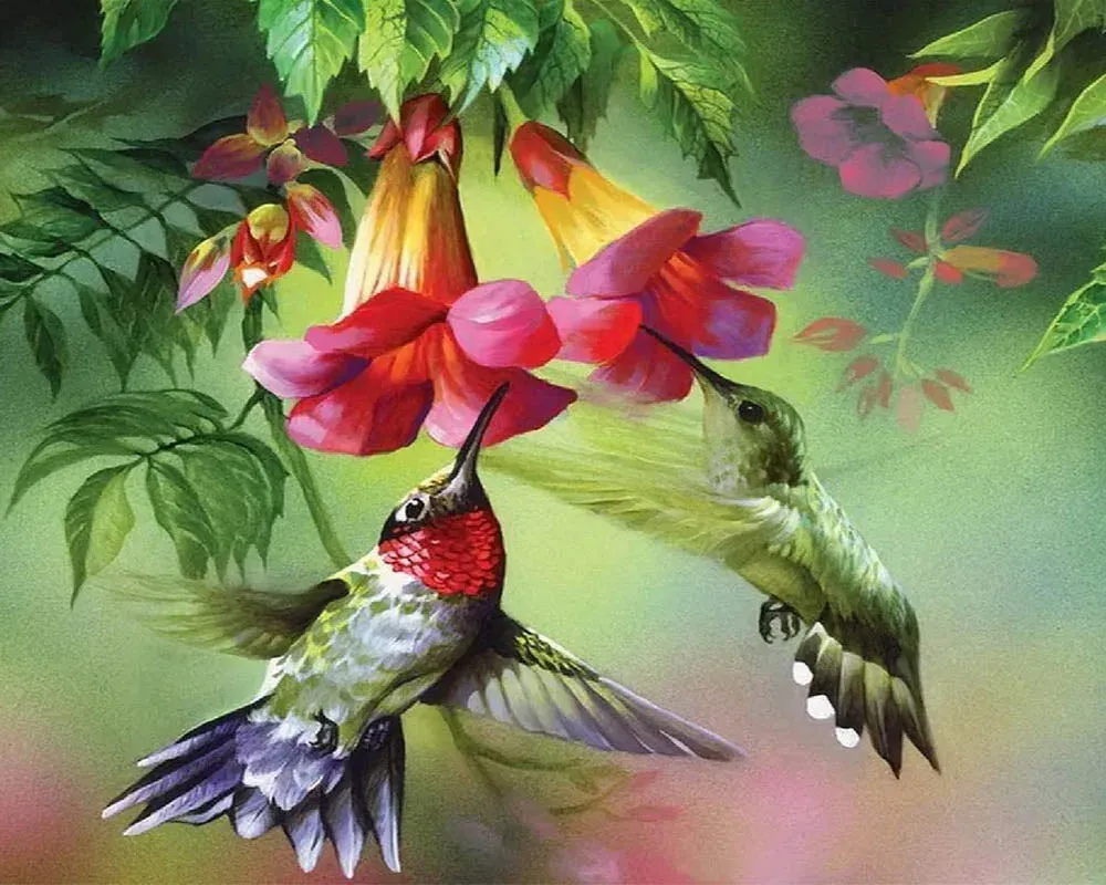 Broderie Diamant : Colibris et leurs fleurs