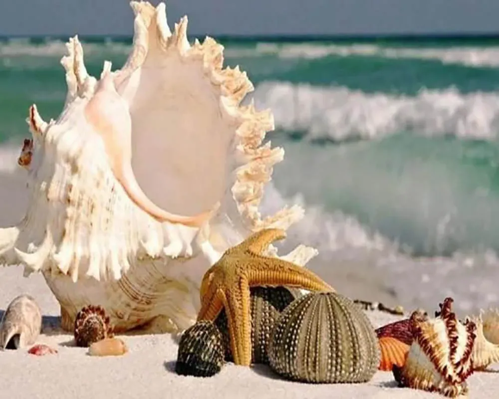 Broderie diamant Coquillages au bord de l'Eau - Mille Facettes