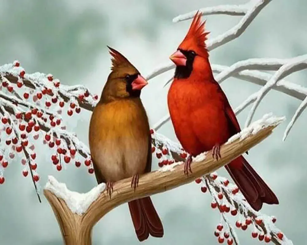 Broderie diamant Couple d'Oiseaux sur Branche