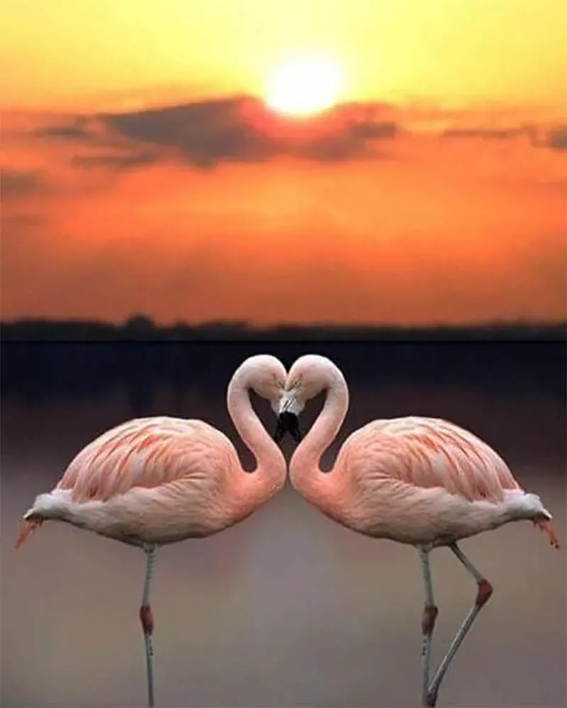 Broderie diamant Couple de Flamants Roses