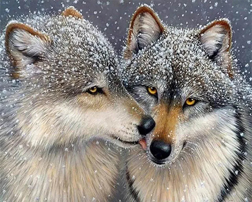 Broderie diamant couple de loups - Romance sauvage en diamants