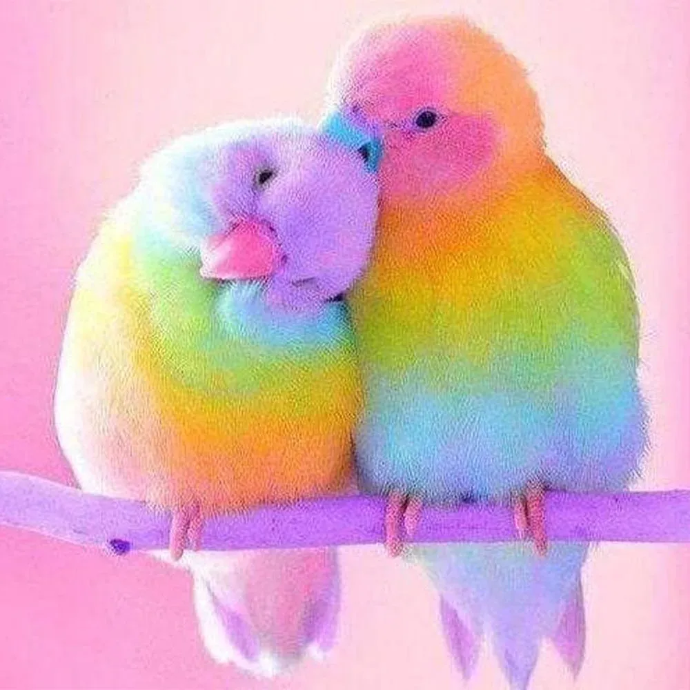 Broderie Diamant Perroquets - Couple d'Oiseaux Romantiques en Résine