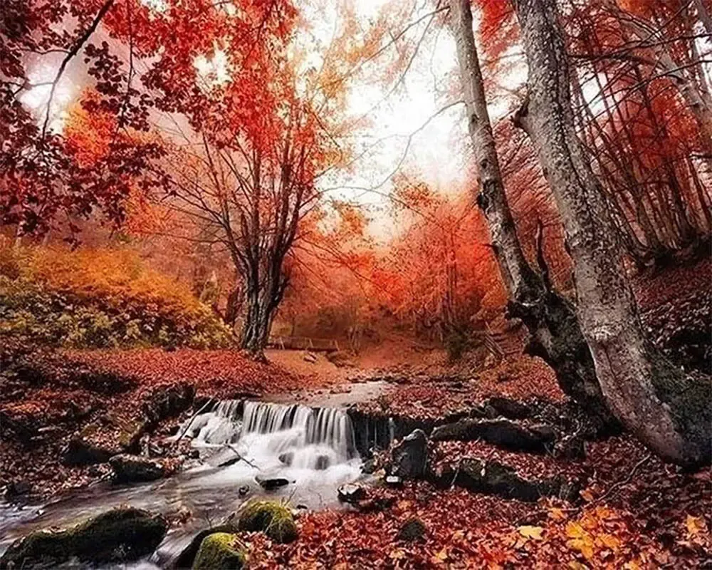 Broderie diamant Cours d'eau en Forêt d'Automne