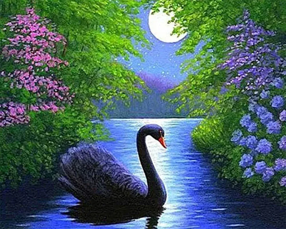Broderie diamant Cygne