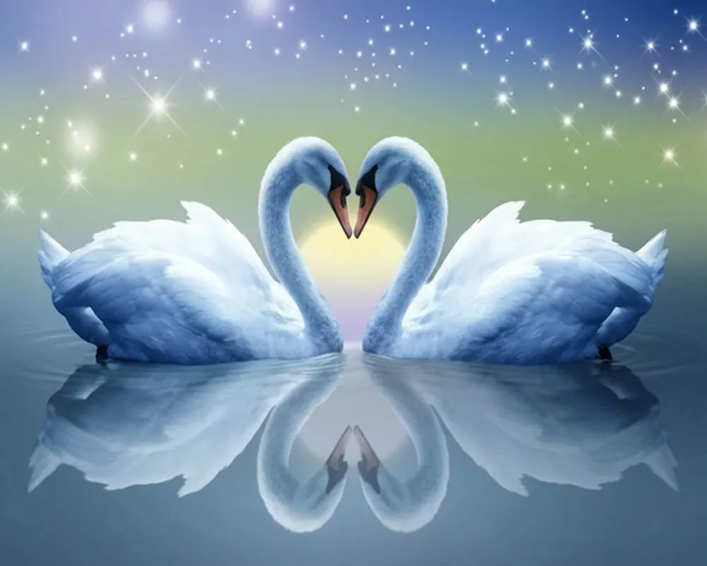 Broderie diamant romantique - Cygnes et cœur en lumière douce