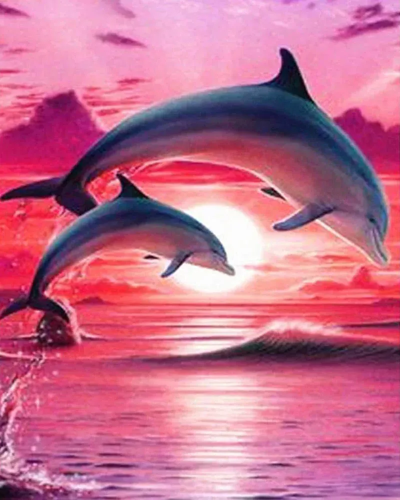 Broderie diamant Dauphins au soleil couchant