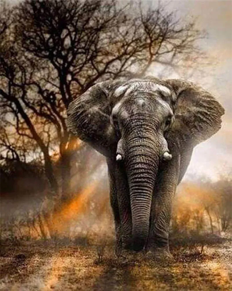 Broderie diamant éléphant dans la savane - Mille Facettes