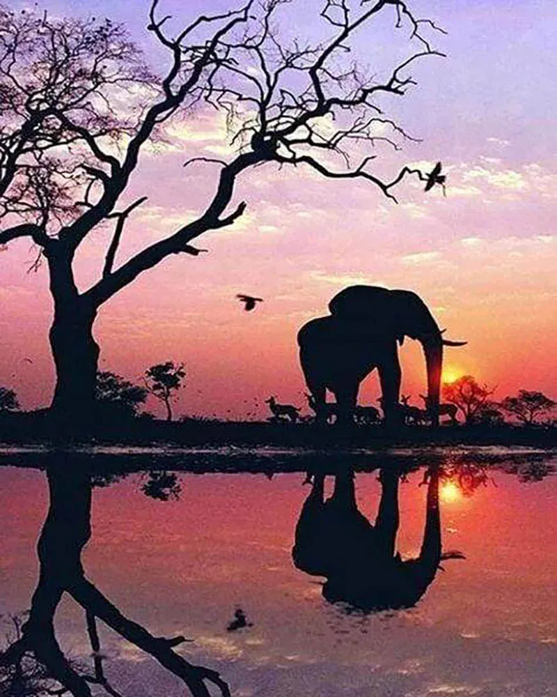 Broderie diamant Eléphant et coucher de Soleil