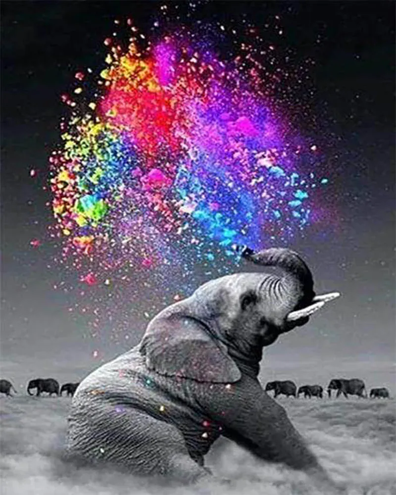 Broderie diamant Eléphant et Couleurs