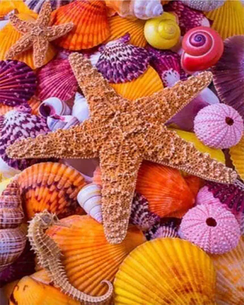 Broderie diamant étoiles de mer et coquillages colorés - Mille Facettes