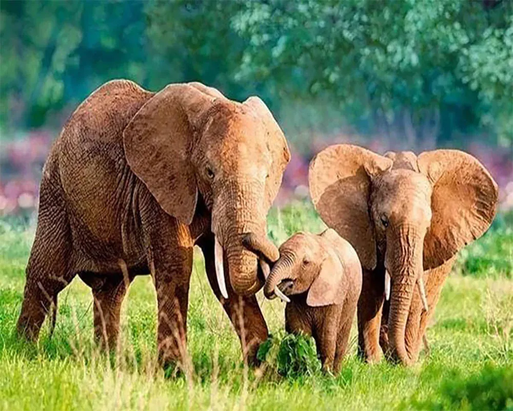 Broderie diamant éléphants - Famille majestueuse en diamants carrés ou ronds