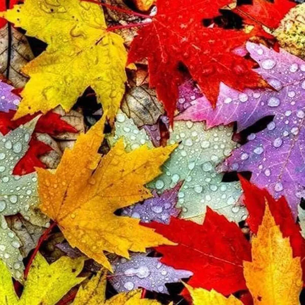 Broderie diamant Feuilles d'Automne