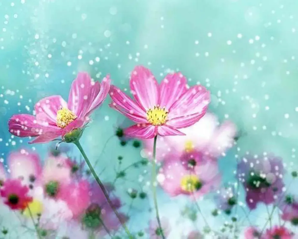 Broderie diamant Fleurs et Flocons