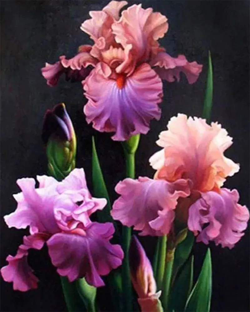 Broderie diamant Floraison d'Iris