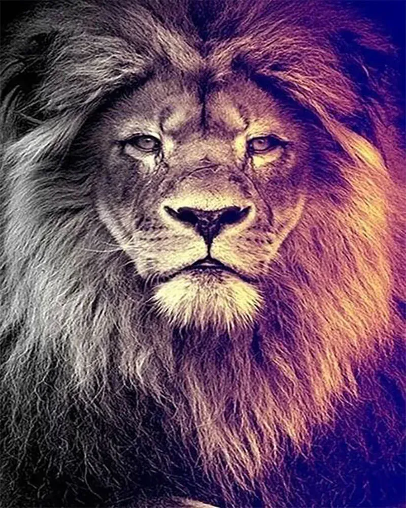 Broderie diamant Grand Lion Portrait