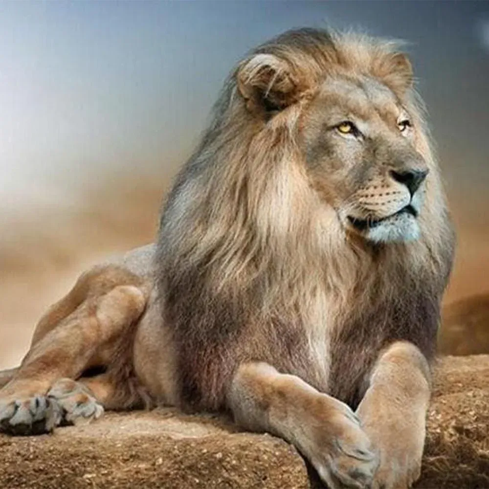 Broderie diamant Grand Lion
