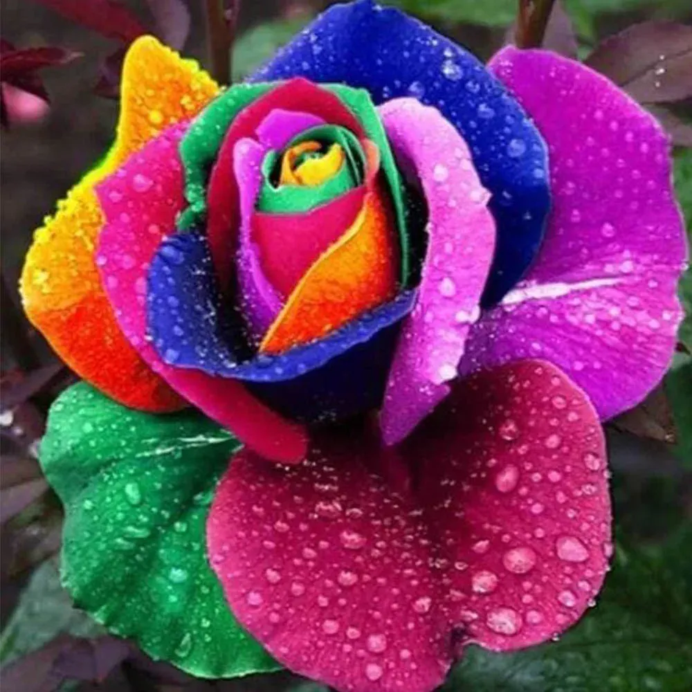 Broderie diamant Grande Pétale de Fleur