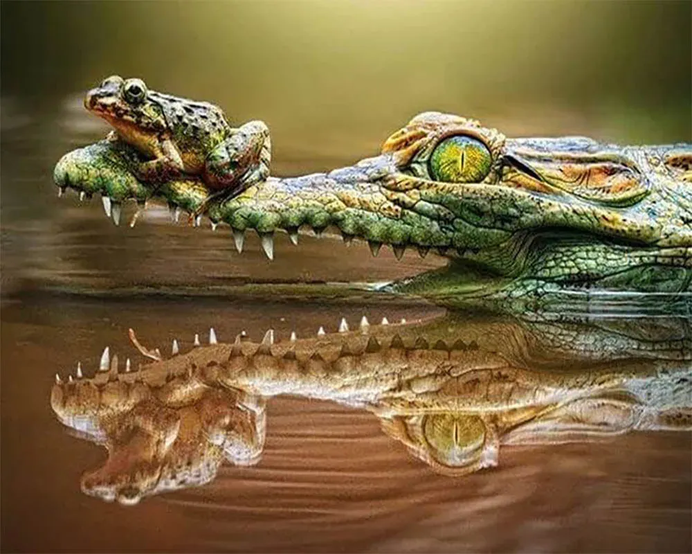 Broderie diamant Grenouille et Crocodile - Scène animalière captivante