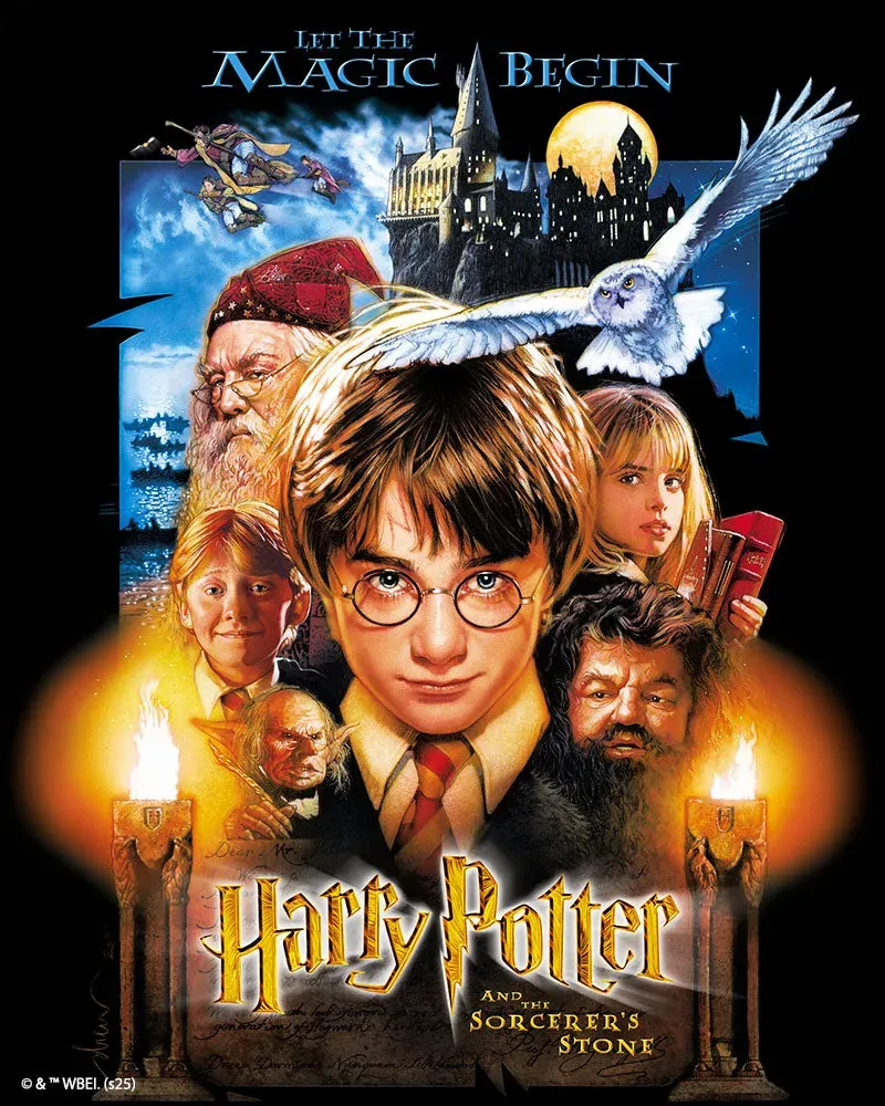 Broderie diamant Harry Potter à l'École des Sorciers Affiche